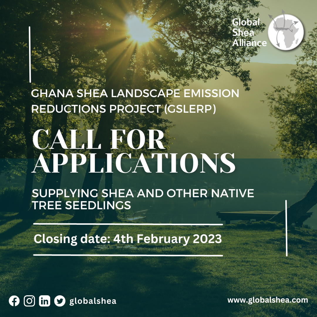 EXPRESSION OF INTERSET RAISING OF SHEA AND NON-SHEA SEEDLINGS
